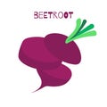 Vector beet isolated on background with caption in flat style. Red beetroot whole cut, sliced