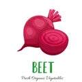 Vector beet vegetable