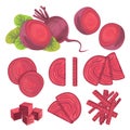 Vector beets isolated on background. Red beetroot whole, cut, slice. Set of fresh beets in different forms.