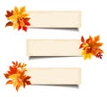 Vector beige banners with colorful autumn leaves. Royalty Free Stock Photo