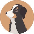 Vector Bernese Mountain dog avatar. Cute cartoon pet. Domestic animal Royalty Free Stock Photo