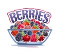 Vector Berry Bowl Royalty Free Stock Photo