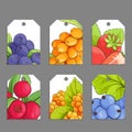 Vector berry labels