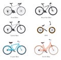 Vector bicycles set