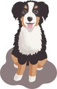 Vector big cute cartoon Bernese mountain dog sitting and smiling, isolated on the white background. Domestic happy pet Royalty Free Stock Photo