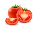 Vector Big Ripe Red Fresh Cut Whole Tomato Close up on White Background