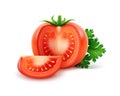 Vector Big Ripe Red Fresh Cut Whole Tomatoes with Parsley Close up on White Background Royalty Free Stock Photo