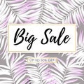 Vector Big Sale banner, poster with colored palm leaves, jungle. Beautiful vector floral tropical summer Web banner or Royalty Free Stock Photo