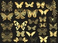 Vector big set golden silhouette of butterflies isolated Royalty Free Stock Photo