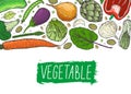 Vector big set of vegetables in a realistic sketch style. Healthy food, natural product, vegetable farm, vegan food, sports nutrit Royalty Free Stock Photo