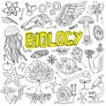 Vector biology science doodles. For school education and document decoration.