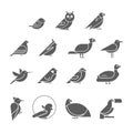 Vector bird icon set Royalty Free Stock Photo