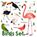 Vector bird icons. Colorful realistic birds