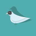 Vector bird isolated on a blue background. Royalty Free Stock Photo