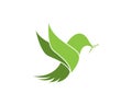 Vector bird logo template Royalty Free Stock Photo
