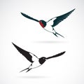 Vector of bird swallows design on white background., Bird Icon., Wild Animals. Royalty Free Stock Photo