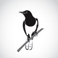 Vector of bird on white background. Oriental Magpie Robin. Royalty Free Stock Photo