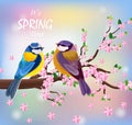Vector birds couple on a Blossom cherry flowers branch. Spring background illustrations Royalty Free Stock Photo