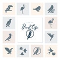 Vector birds icon set in flat style for product, brand or graphics.