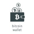 Vector bitcoin wallet with coins