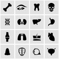 Vector black anatomy icon set