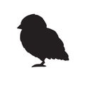 Vector black baby chick silhouette