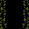 Vector black background with green ivy.