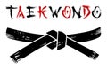 Taekwondo black belt grunge silhouette