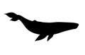 Vector black blue whale silhouette