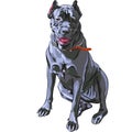 vector Black Cane Corso dog smiling