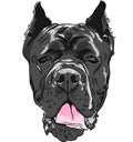 Vector black Cane Corso, Italian breed of dog Royalty Free Stock Photo