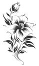 Vector black contour of lily flowers isolated on a white background. Royalty Free Stock Photo