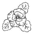 Vector black contour of pansy flowers. Isolated vector template. Web icon