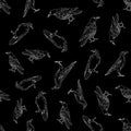 Vector Black Crows Ravens Birds on Black Background Seamless Repeat Pattern Royalty Free Stock Photo