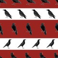 Vector Black Crows Ravens Birds on Red White Stripe Background Seamless Repeat Pattern Royalty Free Stock Photo