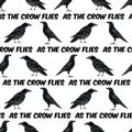 Vector Black Crows Ravens Birds on White Seamless Repeat Pattern Royalty Free Stock Photo