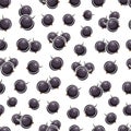 Vector Black Currants seamless pattern