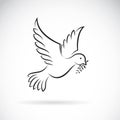 Vector of black dove of peace with olive branch. Animal.