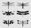 Vector Black Dragonfly icons set isolated on transparent background