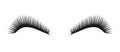 Vector black eyelashes symbol. Eyelash logo