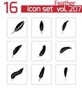 Vector Black Feather Icons Set