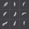 Vector black feather icons set