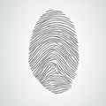 Vector black fingerprint on white background