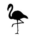 Vector black flamingo silhouette Royalty Free Stock Photo