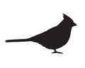 Vector black flat red cardinal bird silhouette Royalty Free Stock Photo