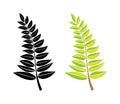 Vector black and green silhouette of a branch with leaves. design element. Hand draw plant and tree branches with leaves. floral Royalty Free Stock Photo