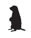 Vector black groundhog marmot silhouette