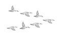 Vector black hand drawn flock of flying duck Royalty Free Stock Photo