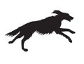 Vector black hunting setter dog silhouette Royalty Free Stock Photo