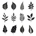 Vector black leaf, linear leaves, cut-out curt forms, silhouette. Illustration of fashionable decor for presentation. Set